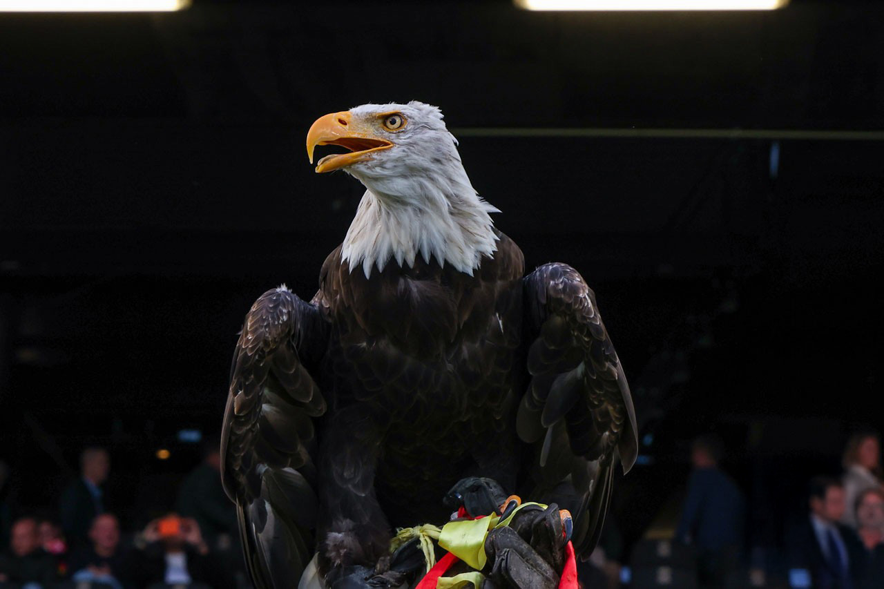 Foto: Henny Meijerink | © Supportersvereniging Go Ahead Eagles
